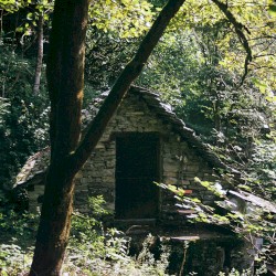 tracing basalt in the onsernone valley