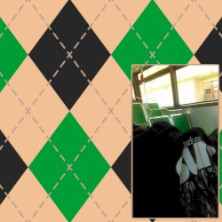 Going to the Vet in Berkeley