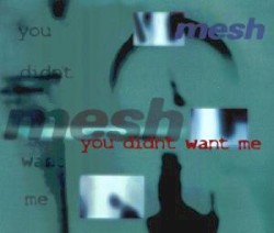 You Didn't Want Me