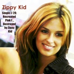 Single # 28:Recreated Pink F… Destroyed by Zippy Kid