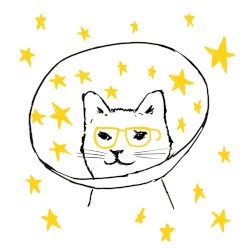 スターラブレイション