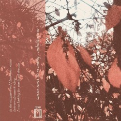 home is in your arms // nostalgique