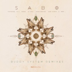 Buddy System Remixes