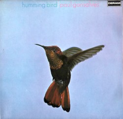Humming Bird