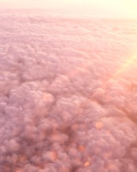 Napalms of Lovesickness