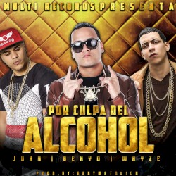 Por culpa del alcohol