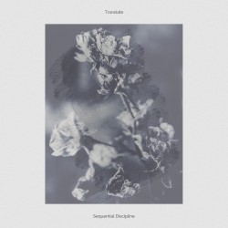 Sequential Discipline