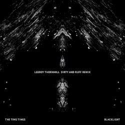 Blacklight (Leeroy Thornhill Dirty and Ruff remix)