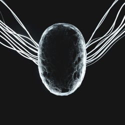 SPLIT PERSONALITY (Jean‐Michel Jarre remix)