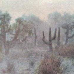 Music for Barren Days #01