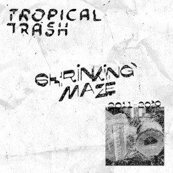 Shrinking Maze: 2011-2020