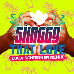 That Love (Luca Schreiner remix)