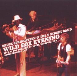 Wild Fox Evening