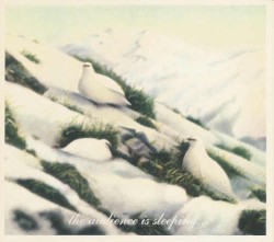 The Audience Is Sleeping