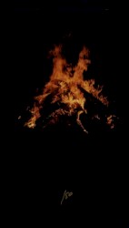 Burning Flesh / Seelenhain