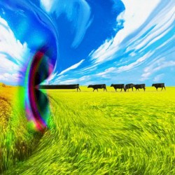 actually kind of a lot of style