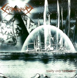 Reality Only Fantasized