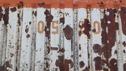 Feral Tape - Combined