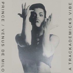 Venus de Milo (A Trackademicks Vibe)