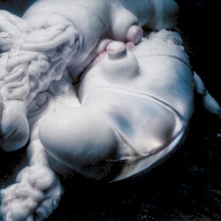Arisen My Senses (remixes)