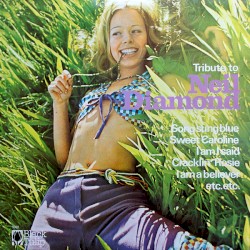 Tribute to Neil Diamond