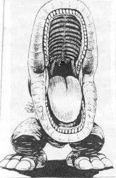 Aggression & Depression