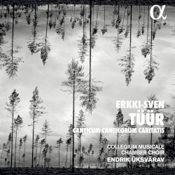 Canticum Canticorum Caritatis