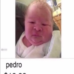 noctiflorous (I CANT WAIT TILL I FUCKING DROP Dead$$$$$$$$$$)))