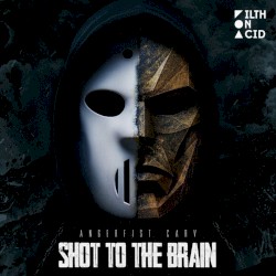 Shot to the Brain