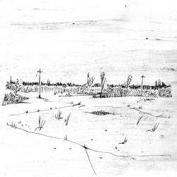 You Lived in the City