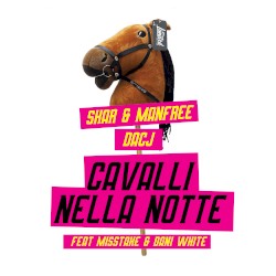 Cavalli nella notte