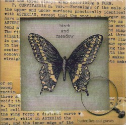 Butterflies And Graves