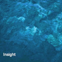 Insight