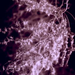 Innertales II - Endless Tales