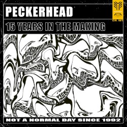 15 Years In The Making