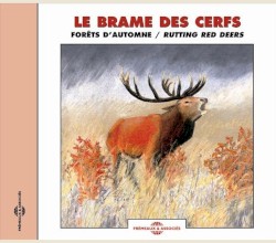 Le Brame des cerfs : Forêts d’automne / Rutting Red Deers
