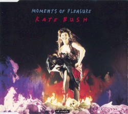 Moments of Pleasure