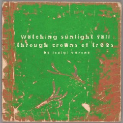 Watching Sunlight Fall Through Crowns of Trees