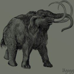 Ultimate Mammoth EP