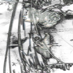 Narcissistic Nightmare