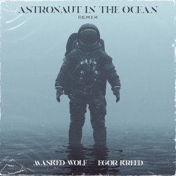 Astronaut in the Ocean (remix)
