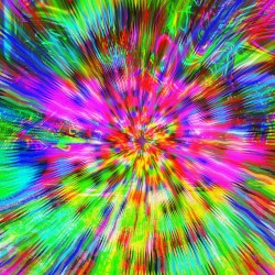 Ｅｃｃｏｃｕｍｂｉａｓ Ｖｏｌ． Ｉ