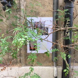 Green Above the Blades