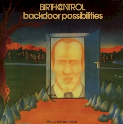 Backdoor Possibilities