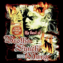 The Best of Brotha Lynch Hung