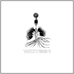 Eight Held Tones for Therma