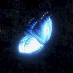 Lullaby