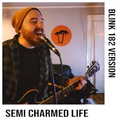 Semi Charmed Life