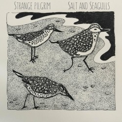 Salt and Seagulls