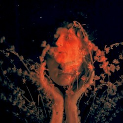 Salvador Dali